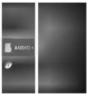 LG RT-44SZ21RB - AUDIO MENU - 1