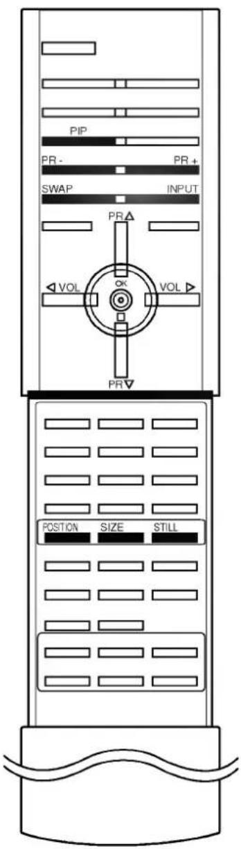 LG RT-44SZ21RB - Sub picture position change - 1