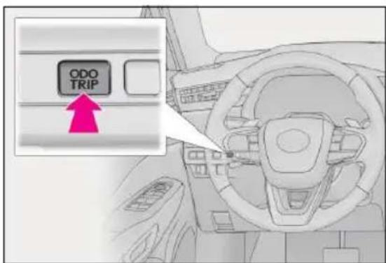 ODO TRIP