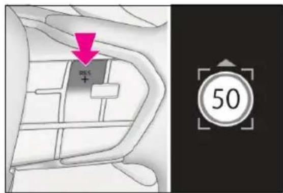 BEE + 50