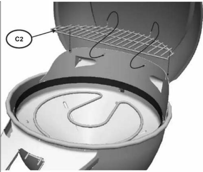 C2