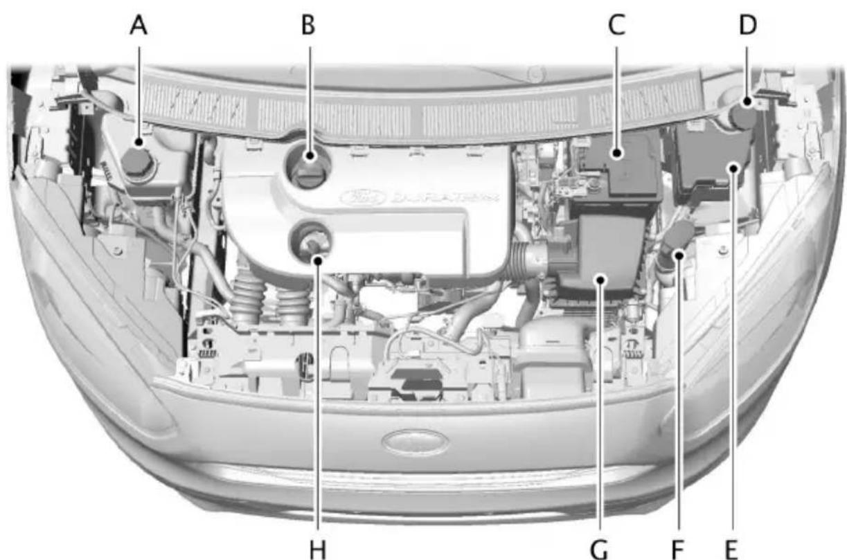FORD Tourneo Courier (2014) - UNDER MOTORHUVEN – ÖVERSIKT - 1.6L DURATORQ-TDCI (70KW/95HK) (T3), VÄNSTERSTYRD - 1