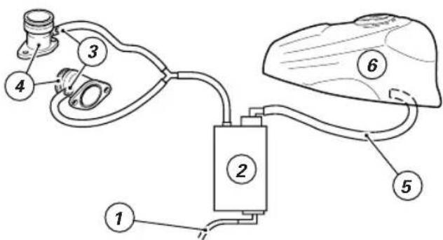 Diagram of a medical or laboratory device with numbered components, likely for surgical or diagnostic purposes.