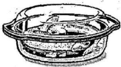 BOSCH HEN4860 - Fisch - 1