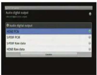 Audio digital output Audio digital output HDMI PCM S/FDIF PCM S/FDIF Raw data HDMI Raw data Cancelator