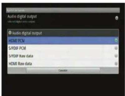 Audio digital output Audio digital output HDMI PCM S/PDIF PCM S/PDIF Raw data HDMI Raw data Caserator
