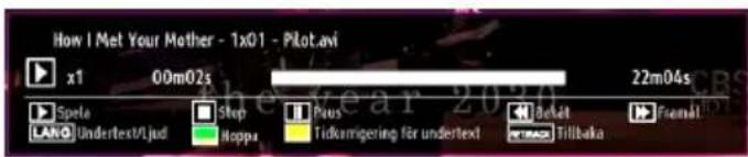 Luxor LED550FHD - Mediauppspelning med Medialäsaren - 3