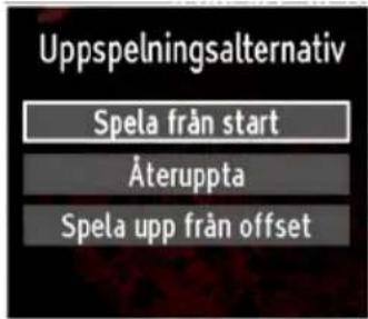 Luxor LED550FHD - Titta på inspelade program - 2