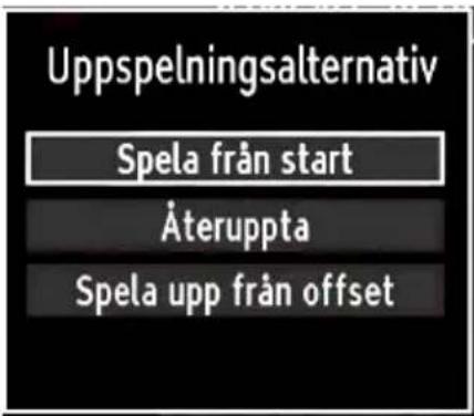 Luxor LC32CL - Titta på inspelade program - 2