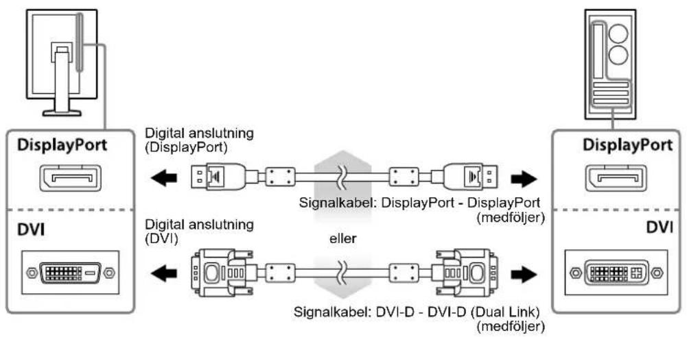EIZO RadiForce GX540-CL - Anslut signalkablarna till signalingångsanslutningarna och datorn. - 1