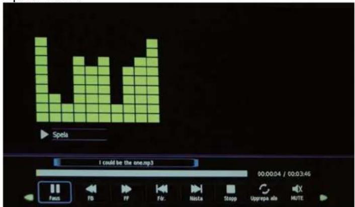 DMTECH LED19DTB - Musik - 1