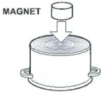 MAGNET