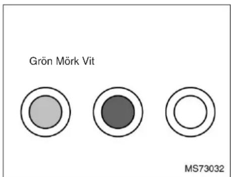 Grön Mörk Vit MS73032