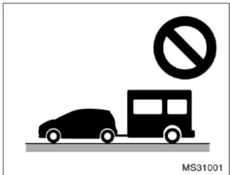 MS31001