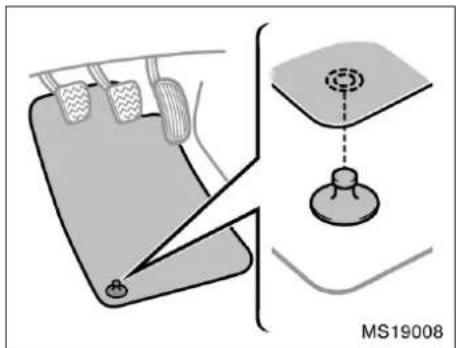 MS19008