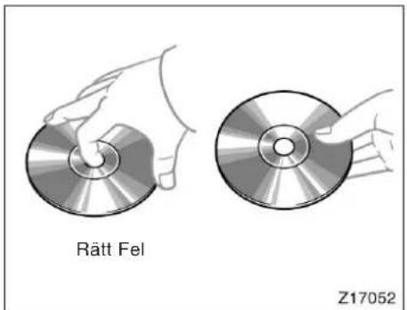 Rätt Fel Z17052