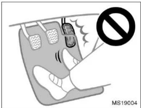 MS19004