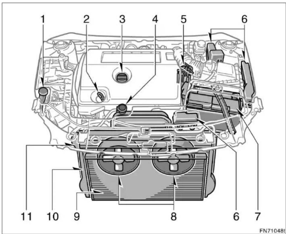 1 2 3 4 5 6 7 8 9 10 11 FN71048t