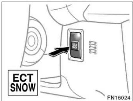 ECT SNOW FN16024