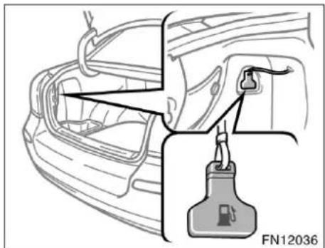 FN12036