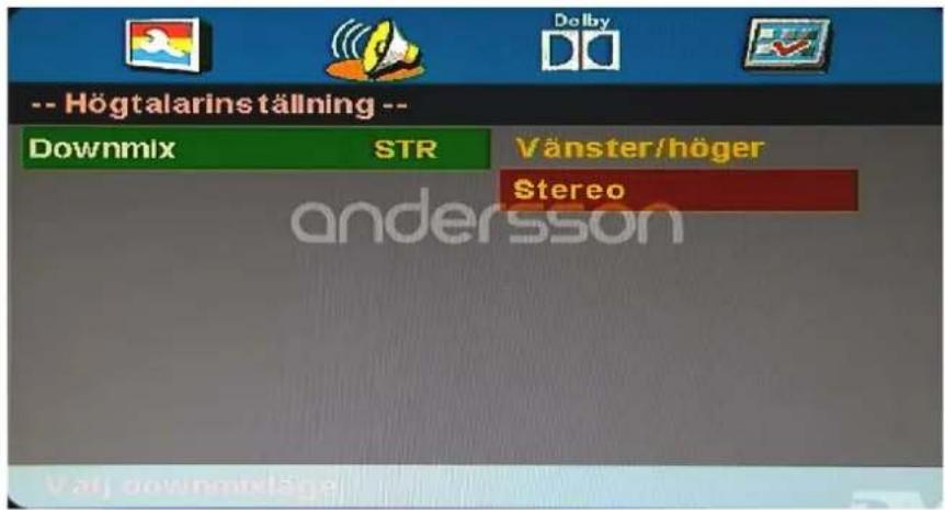 -- Högtalarinställning -- Downmix STR Vänster/höger Stereo andersson