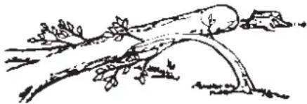 JONSERED CS 2163 - Grundläggande säkerhetsregler - 2