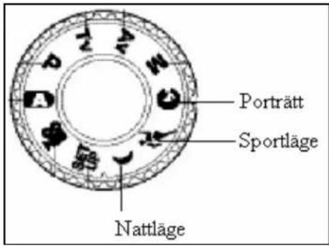 Porträtt Sportläge Nattläge