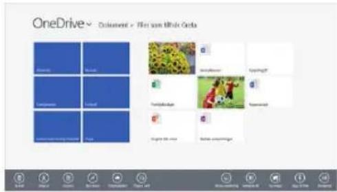 OneDrive~ Dokument > Files zum Whole Goods