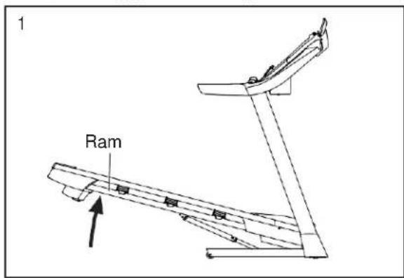 1 Ram