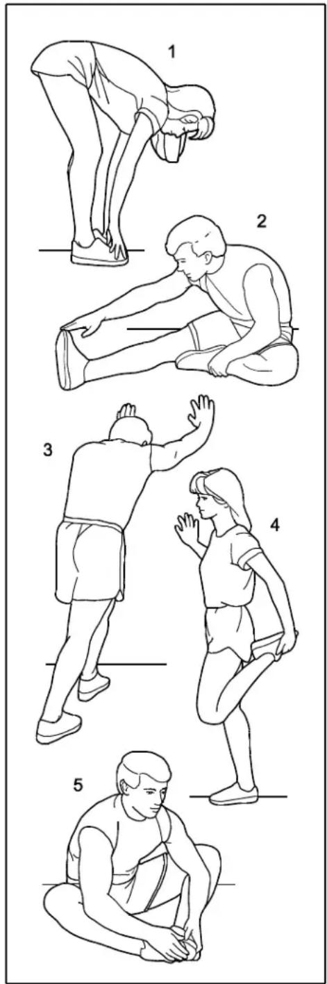 Pro-form Sport 9.0 - Innerlår - 1