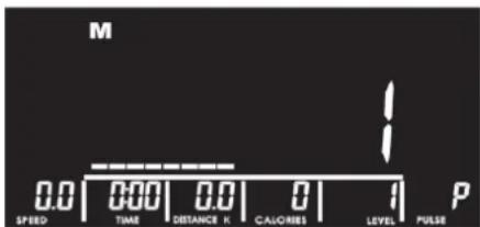 M 0.0 | 0.00 | 0.0 | 0 | 1 P SPEED TIME DISTANCE K CALORIES LEVEL PULSE