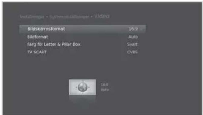 InstÖdningar • Systematöllberger • Video Bildskarm format 16:9 Bildformat Auto Färg för Letter & Piller Box Svart TV SCART CVBS 16:9 Auto