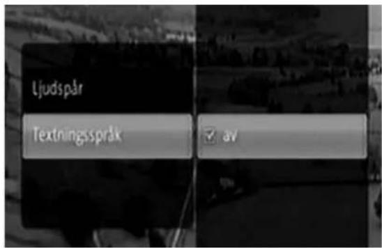 Ljudspår Textningsspråk ✓ av