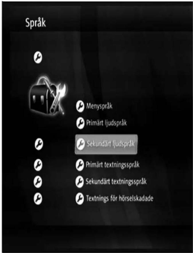 Språk Menyspråk Primärt ljudspråk Sekundärt ljudspråk Primärt textningsspråk Sekundärt textningsspråk Textnings för hörselskadade