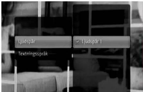 Ljudspår Ljudspår 1 Textningsspråk