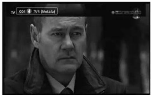 TV 004 TV4 (Motala)