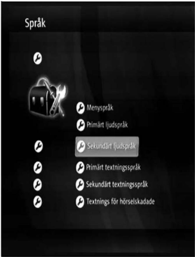 Språk Menyspråk Primärt ljudspråk Sekundärt ljudspråk Primärt textningsspråk Sekundärt textningsspråk Textnings för hörselskadade