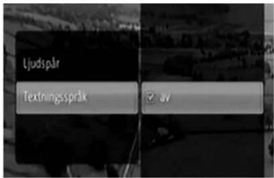 Ljudspår Textningsspråk av