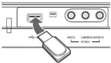 VIDEO LIMON/O-MUDIO-R AV IN 2