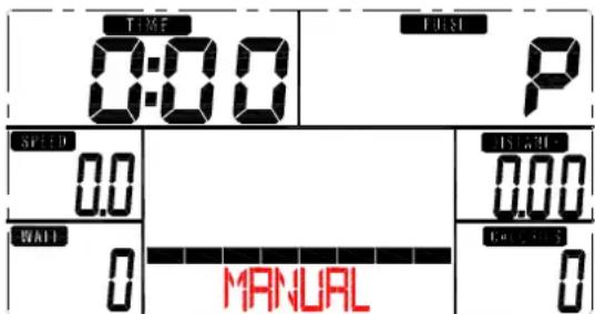 TIME 0:00 P SPEED 0.0 1:00 0.00 WALL 0 MANUAL COLDING 0