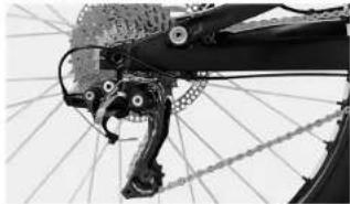 Canyon Spectral - PACKA UPP CYKELN UR BIKEGUARD OCH MONTERA DEN - 1