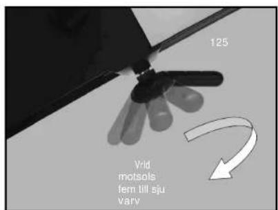 125 Vrid motsols fern lill sju vary