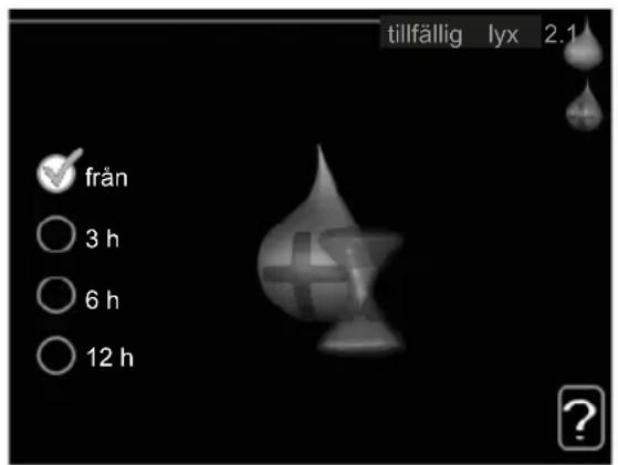 tillfällig lyx 2.1 från 3 h 6 h 12 h