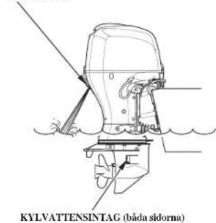 KYLVATTENSINTAG (báda sidorna)