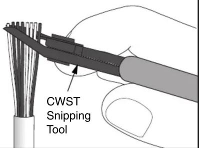 CWST Snipping Tool
