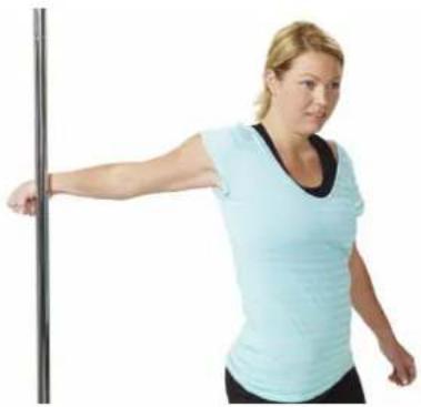 ExtremeFit TM1200 - MELLAN SKULDERBLADEN - 2