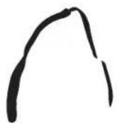 Sierra Designs Solomente AS - SOLOMENTE AST - 1