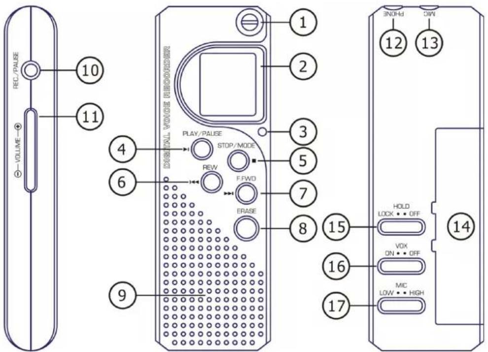 REC./PULSE ① VOLUME ② 10 11 4 6 9 DIGITAL VOICE RECORDER PLAY/PULSE STOP/MODE REW FFWD ERASE 3 5 7 8 15 HOLD LOCK •• OFF VOX ON •• OFF MIC LOW •• HIGH 12 13 14 16 17