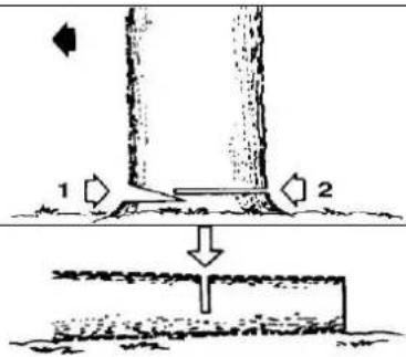 1 2