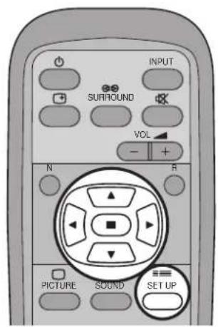 INPUT SURROUND VOL - + N R PICTURE SOUND SET UP